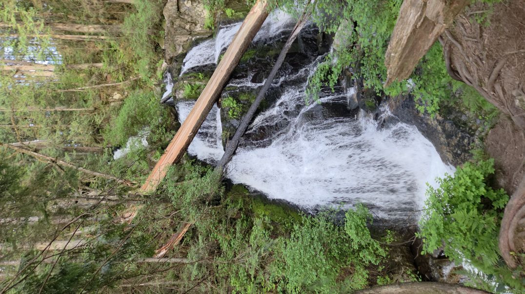 ⁣Steelhead fall