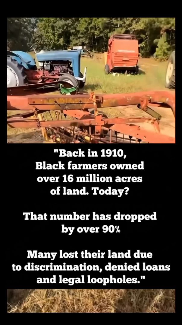 ✊🏾🚜🌽🐄🐖🐓🐔🧺🖤