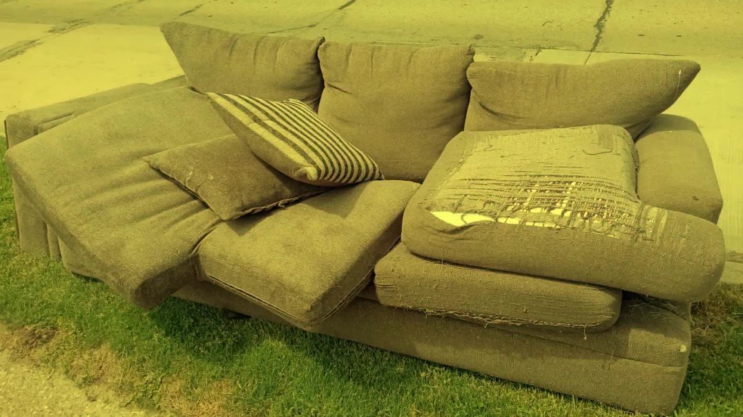 Vote the couch!