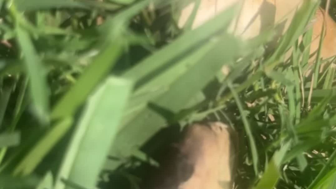 ⁣first upload!