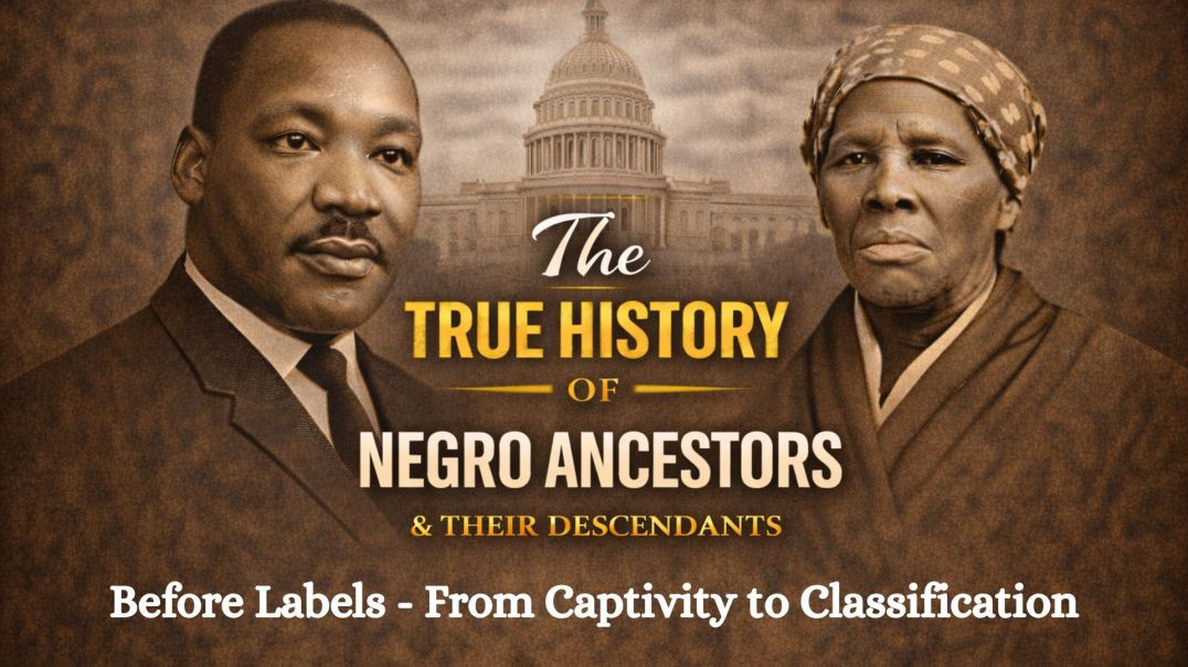 ⁣Before Labels - From Captivity to Classification