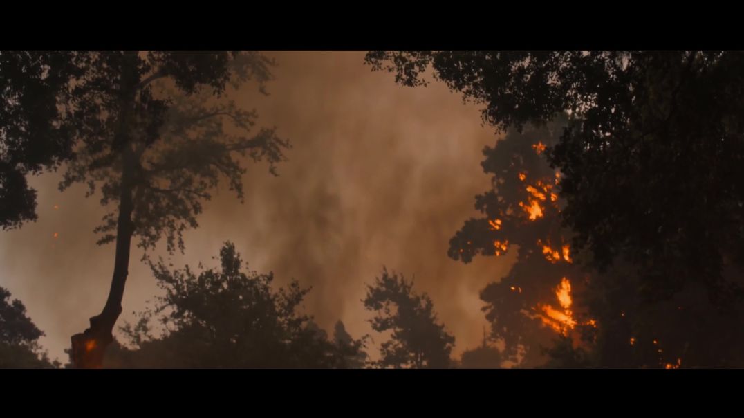 before after park fire