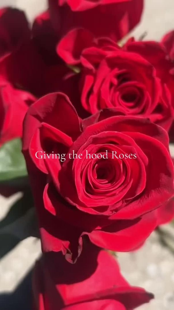 Giving The Hood Roses 🌹 💚