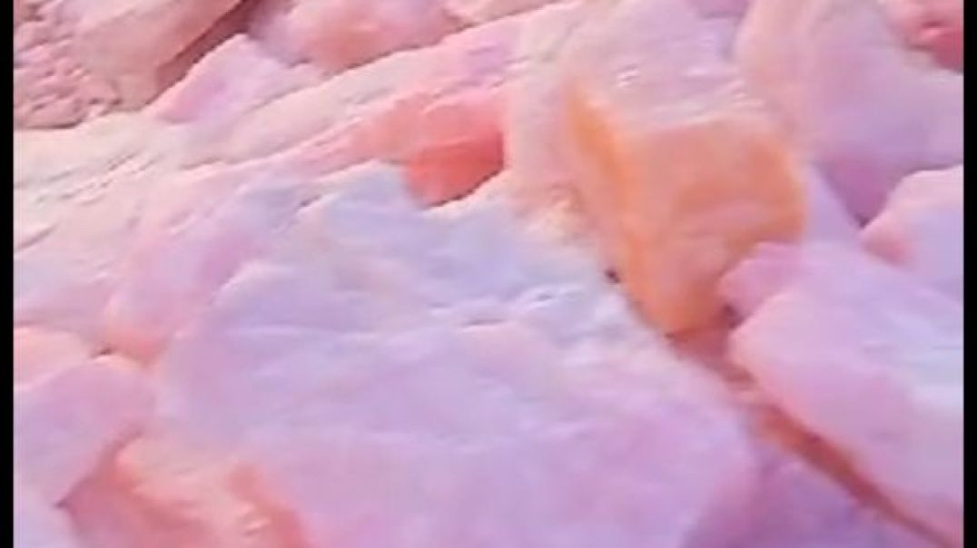 VID-20250315-WA0002