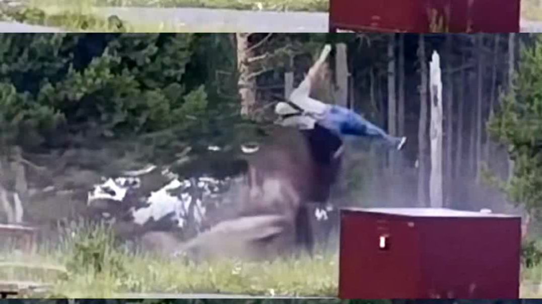 If You Mess With The Bull... You Get The Horns.. That's Your Azz..Mr.. PostMan