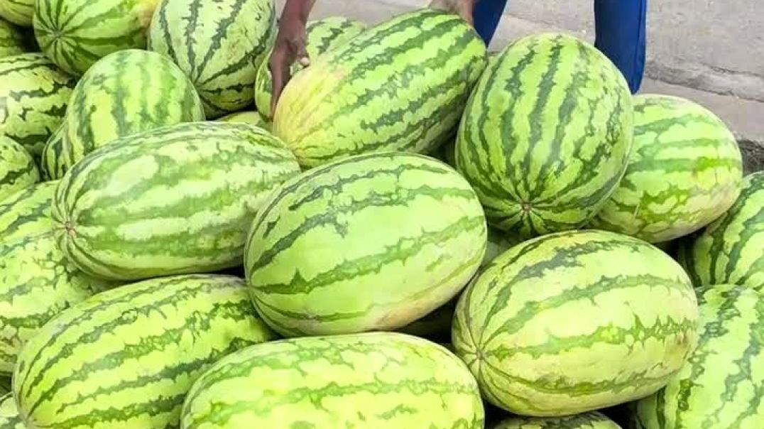 ⁣Watermelon Man Chicago