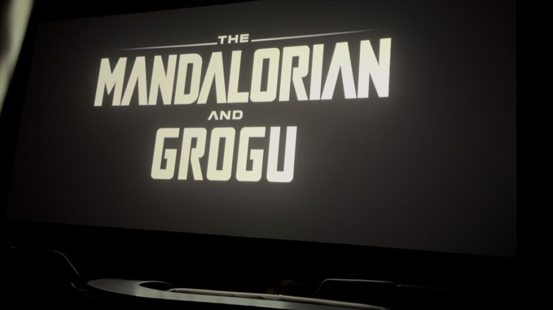 THE MANDALORIAN AND GROGU