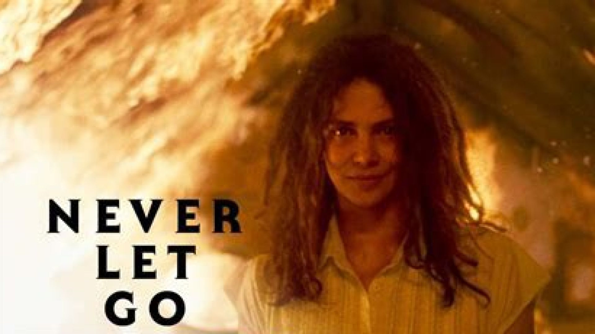 ⁣Never Let Go (Halley Barry)