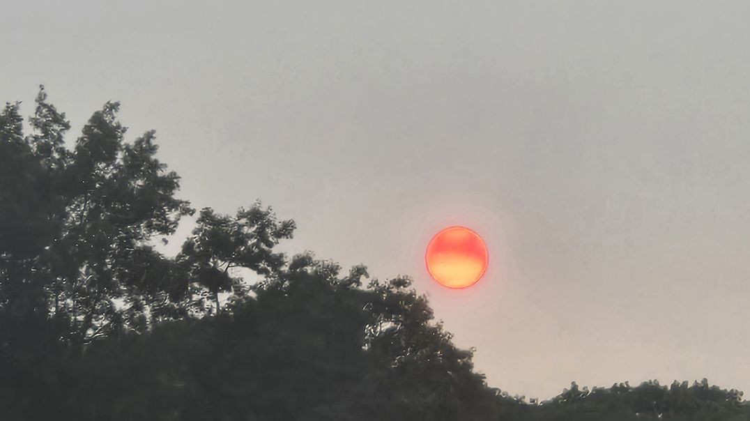 20260716_115044