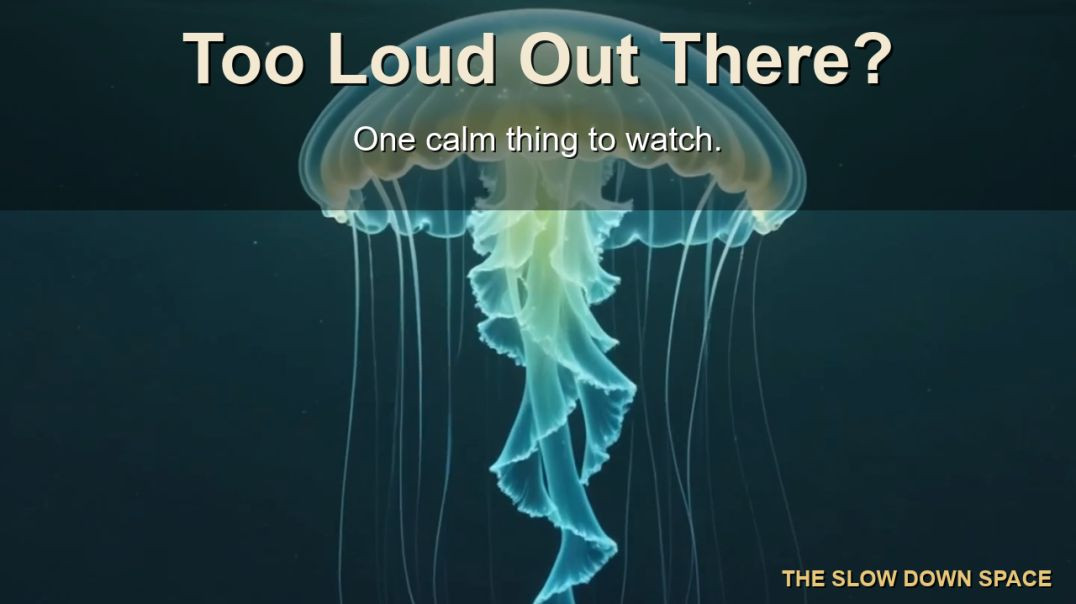⁣Sensory Overload Reset — 30 Minute Calm Down Video for Overstimulated & Autistic Kids