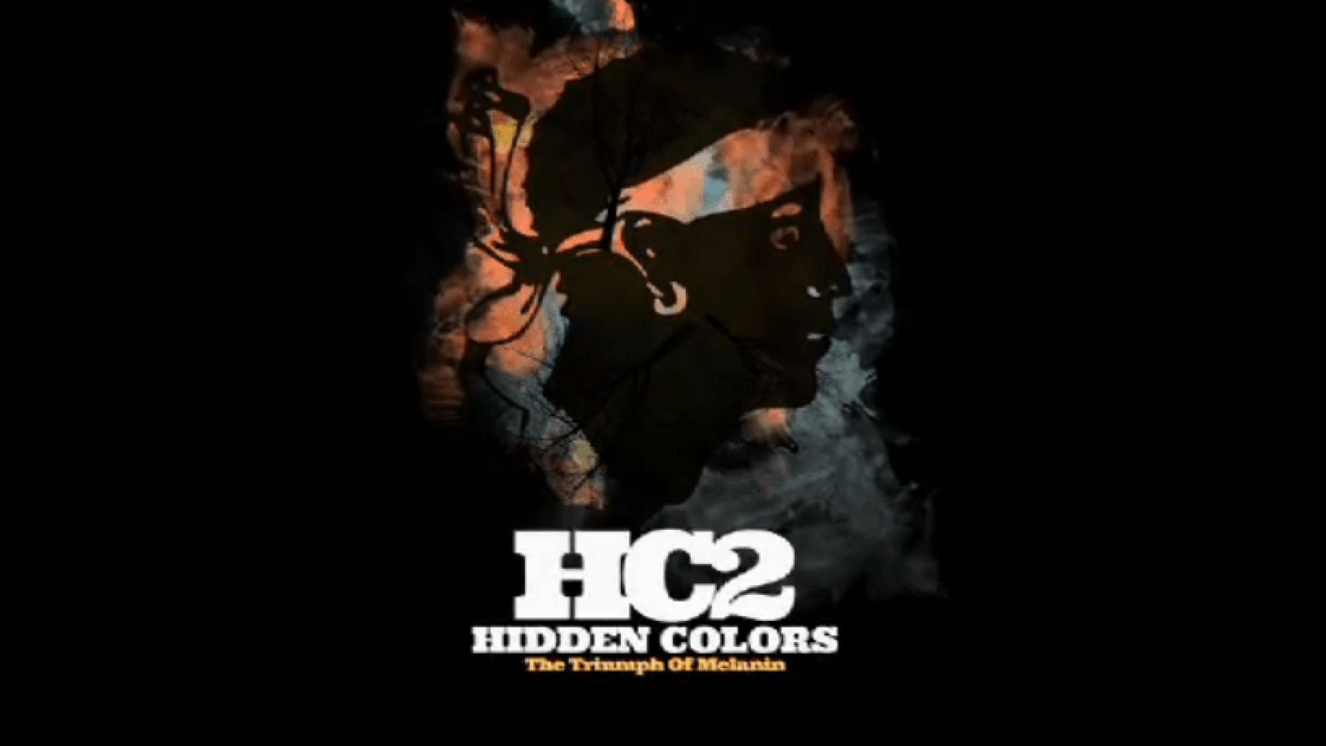 ⁣Hidden Colors 2 The Triumph of Melanin