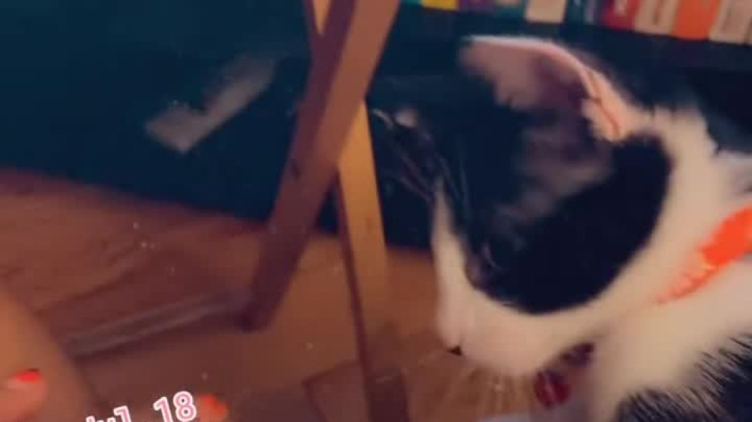 ⁣He always wanna fight but cuddle after 😻🤣