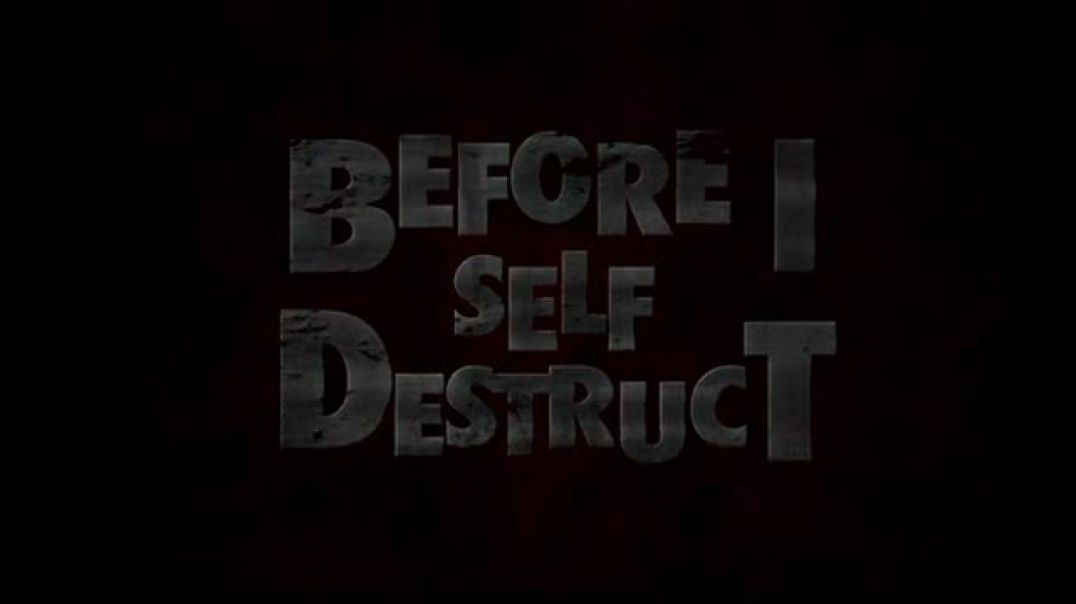 Before I Self Destruct (Original)