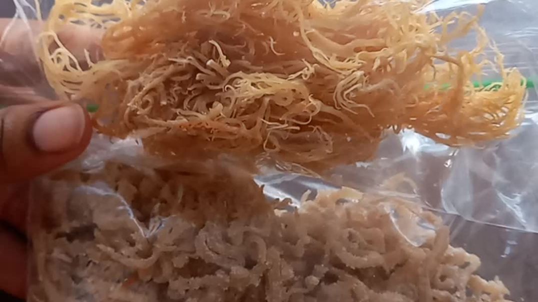 ⁣stop buying fake sea moss