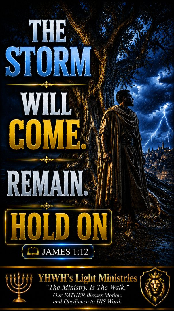 Storms Reveal Roots