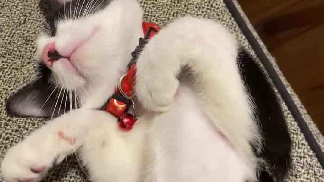 My sleepyhead!!