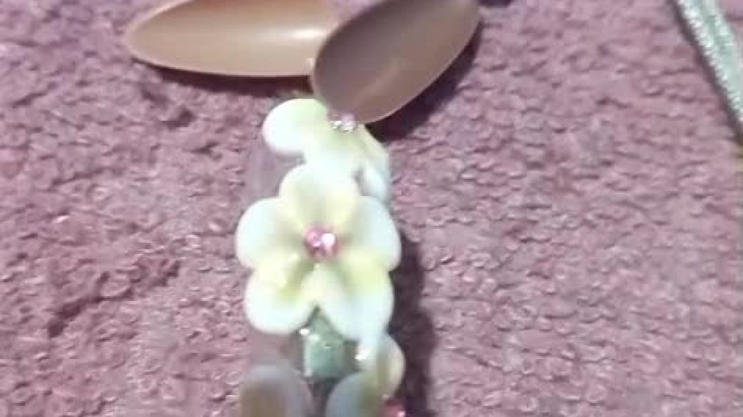 VID-20260630-WA0025