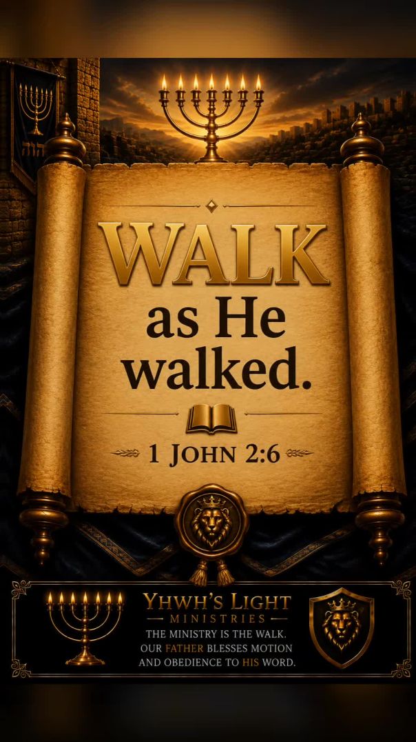 Walk the Same Way