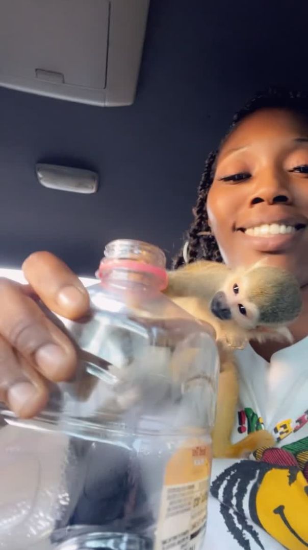Meet my son BANKZ THE  SQUIRREL MONKEY