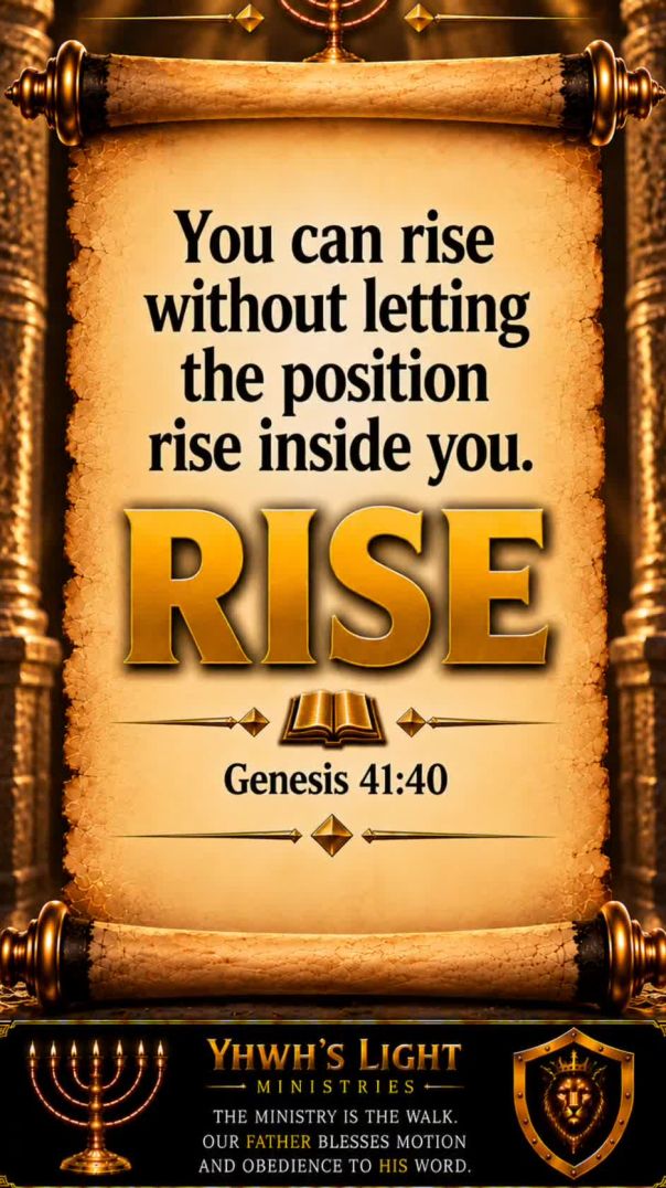 Rise Without Surrendering