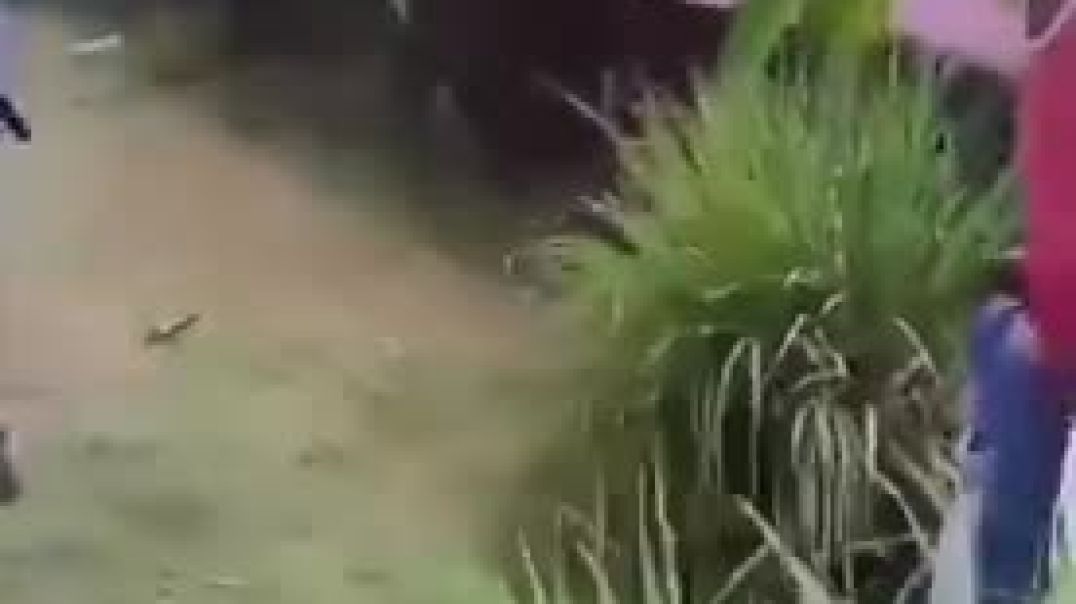 Crazy_fight(480p)