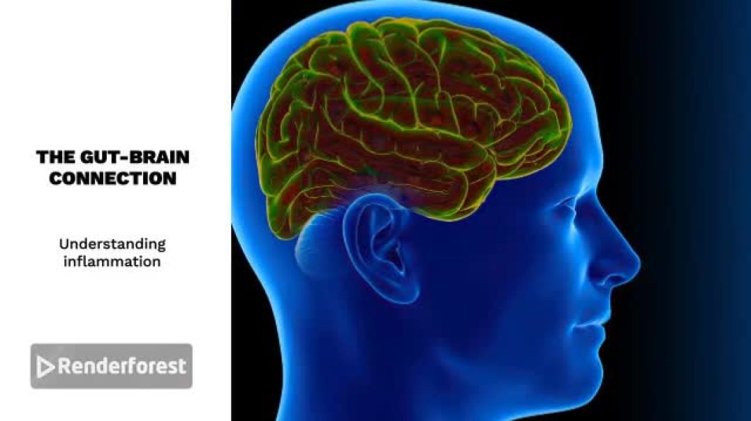⁣Autoimmune & Gut-Brain Axis Transformation: My Mushroom Cacao Routine
